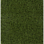Verkleinertes Bild von Rasenteppich 'Maui' 200 x 3000 cm grün