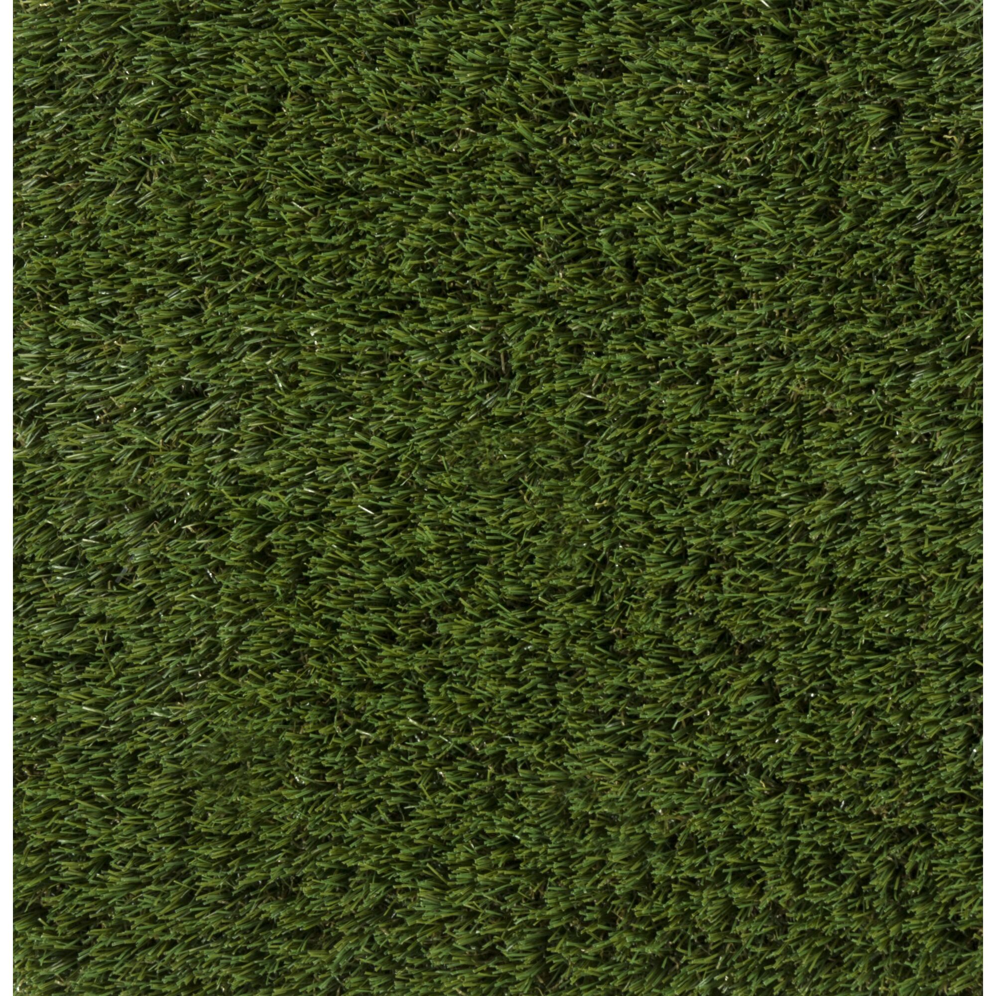 Nahaufnahme von künstlichem Rasenteppich