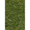 hauptbild