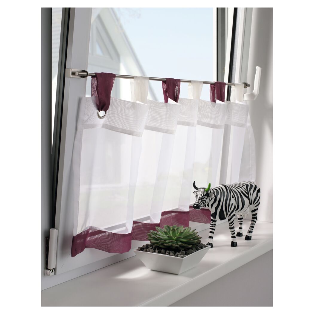 Spannvitrage am Fenster, daneben eine Sukkulente und ein Zebra.