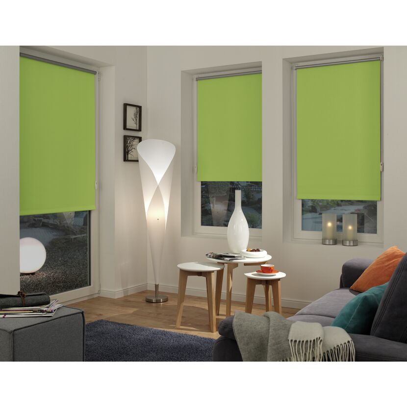 Grünes Rollo in einem Wohnzimmer