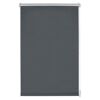 Graues Rollo Easyfix Thermo