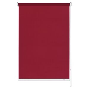 Seitenzug-Rollo 'Abdunklung' bordeaux 82 x 180 cm