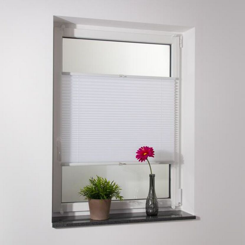 Weiße Faltjalousie am Fenster, davor eine Pflanze und eine Blume in einer Vase.