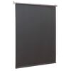 Thermo-Rollo grau 60 x 150 cm