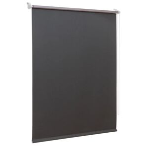 Thermo-Rollo grau 60 x 150 cm