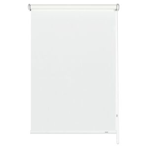 Seitenzug-Rollo 'Lichtdurchlässig' weiß 82 x 180 cm