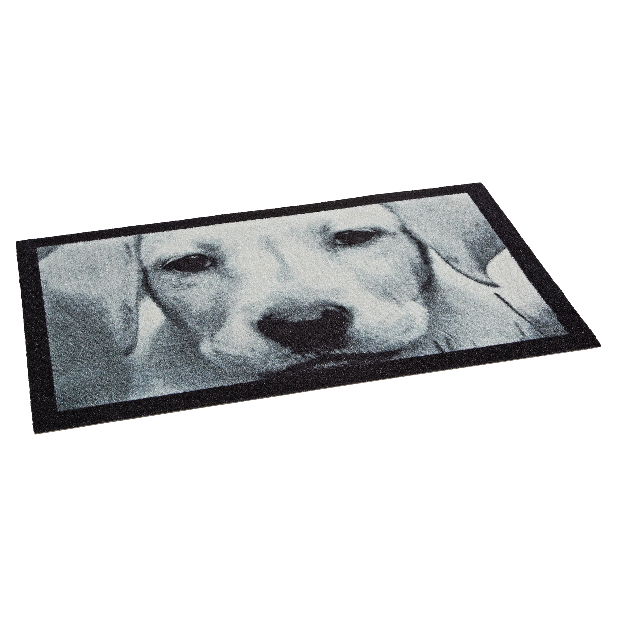 Sauberlaufmatte 'Hund' 58 x 39 cm Hund + product picture