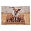 Hund auf Fußmatte mit Aufschrift "HOME"