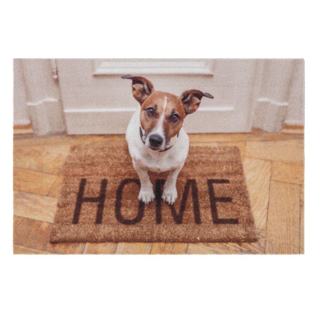 Hund auf Fußmatte mit Aufschrift "HOME"