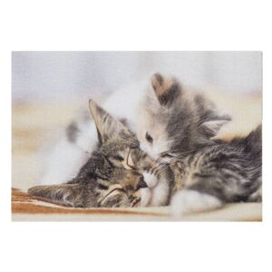 Sauberlaufmatte 'Deco Print' 40 x 60 cm Kitten braun