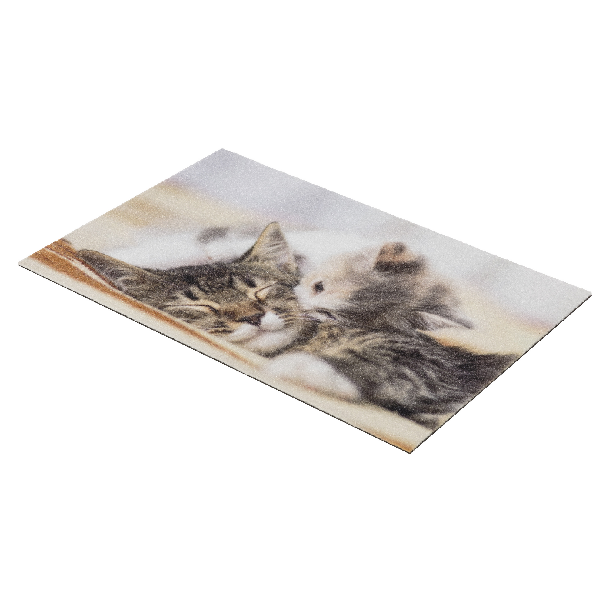 Sauberlaufmatte 'Deco Print' 40 x 60 cm Kitten braun + product picture