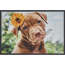 Verkleinertes Bild von Schmutzfangmatte 'Hund Blume' mehrfarbig 39 x 58 cm