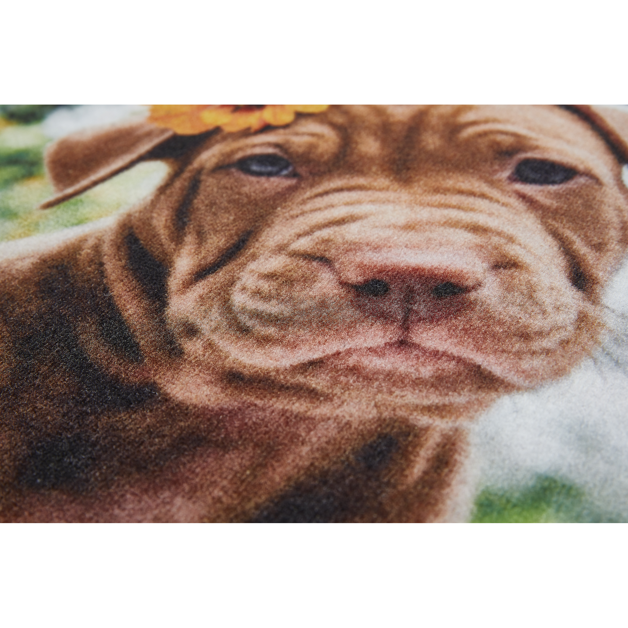 Schmutzfangmatte 'Hund Blume' mehrfarbig 39 x 58 cm + product picture