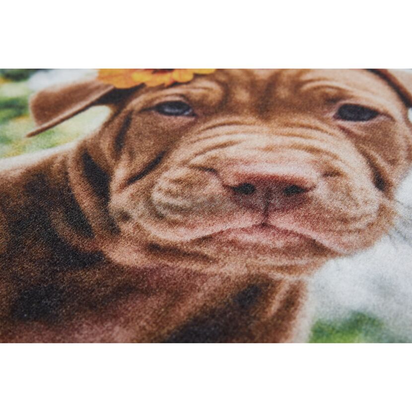 Schmutzfangmatte 'Hund Blume' mehrfarbig 39 x 58 cm