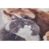 Nahaufnahme einer Fußmatte mit Katzen- und Hundemotiv.