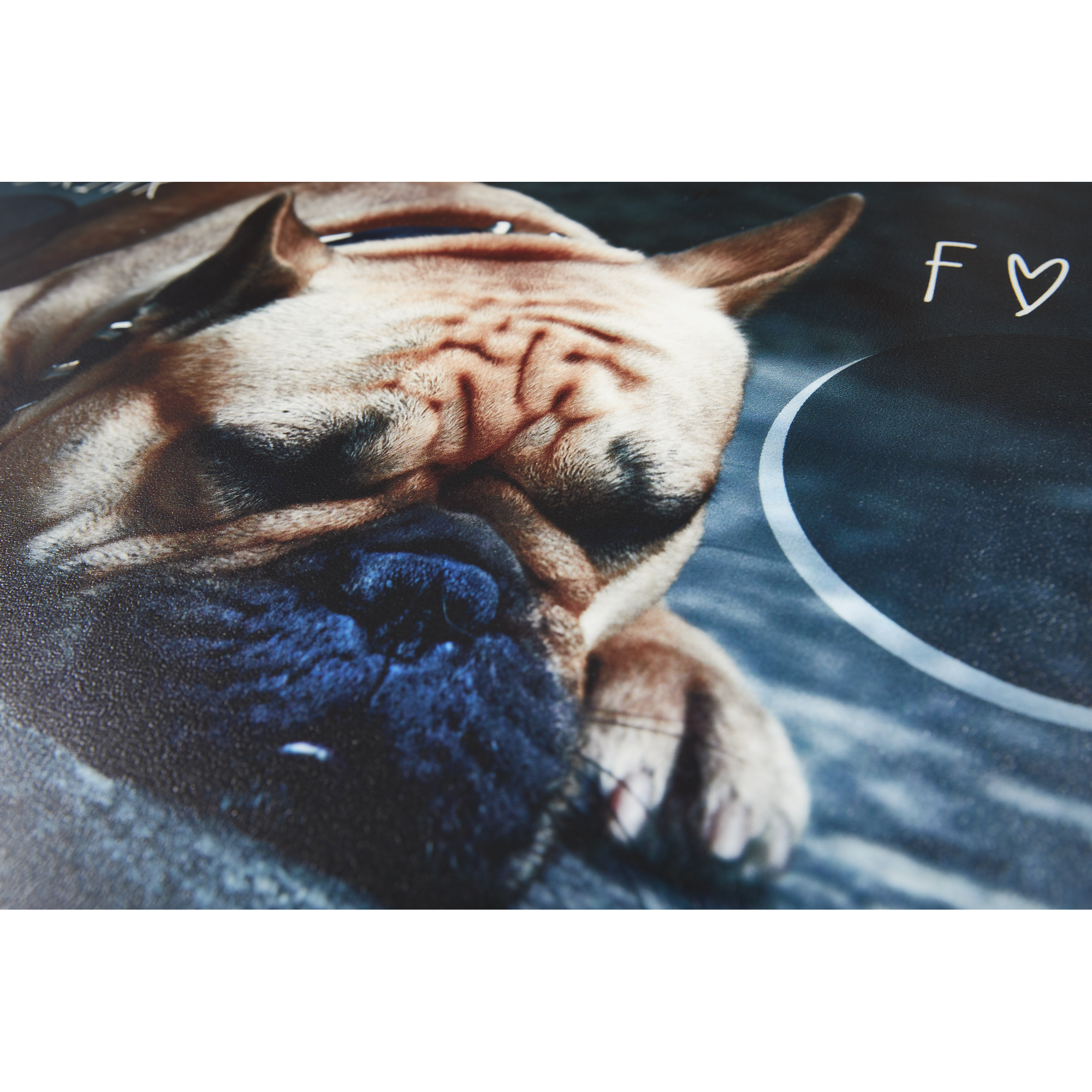 Napfunterlage 'Proper Food + Drink Pug' mehrfarbig 49 x 79 cm + product picture
