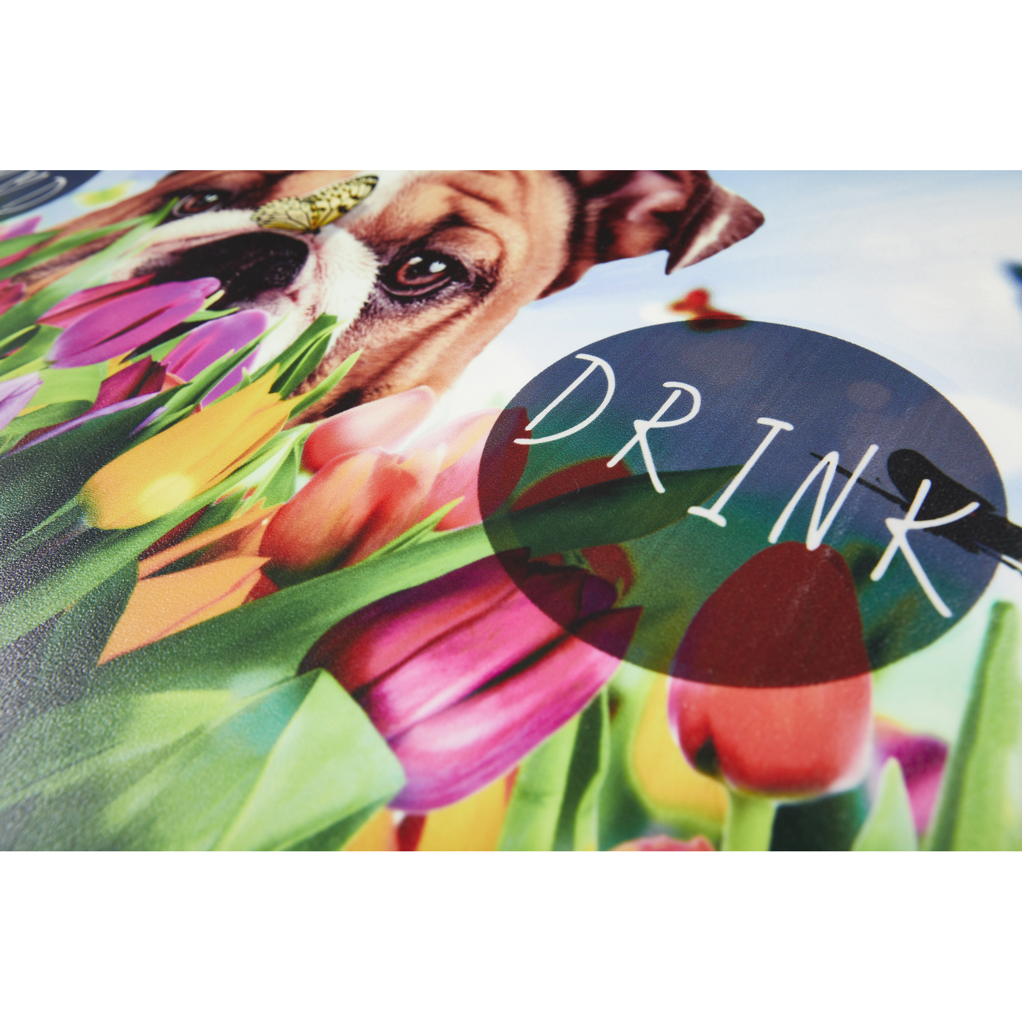 Napfunterlage 'Proper Food + Drink Dog' mehrfarbig 49 x 79 cm + product picture