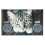 Verkleinertes Bild von Napfunterlage 'Proper Food + Drink Cat' mehrfarbig 49 x 79 cm
