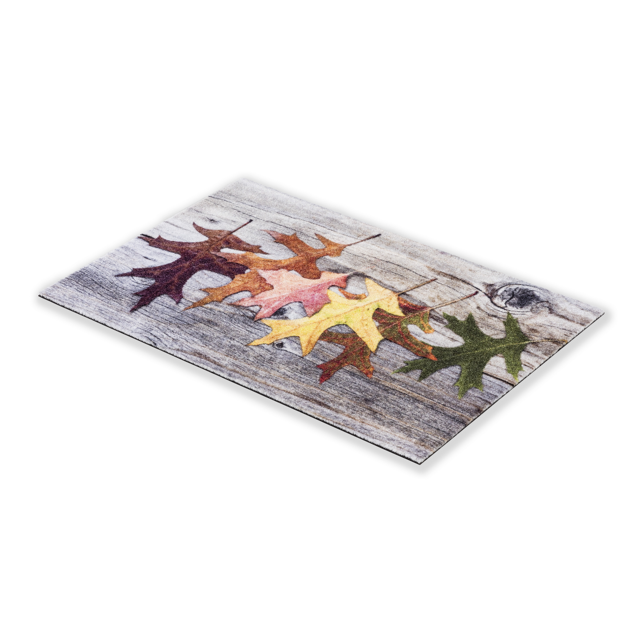 Sauberlaufmatte 'Blätter D.152' mehrfarbig 40 x 60 cm + product picture