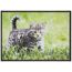 Sauberlaufmatte 'Baby Katze' mehrfarbig 50 x 70 cm