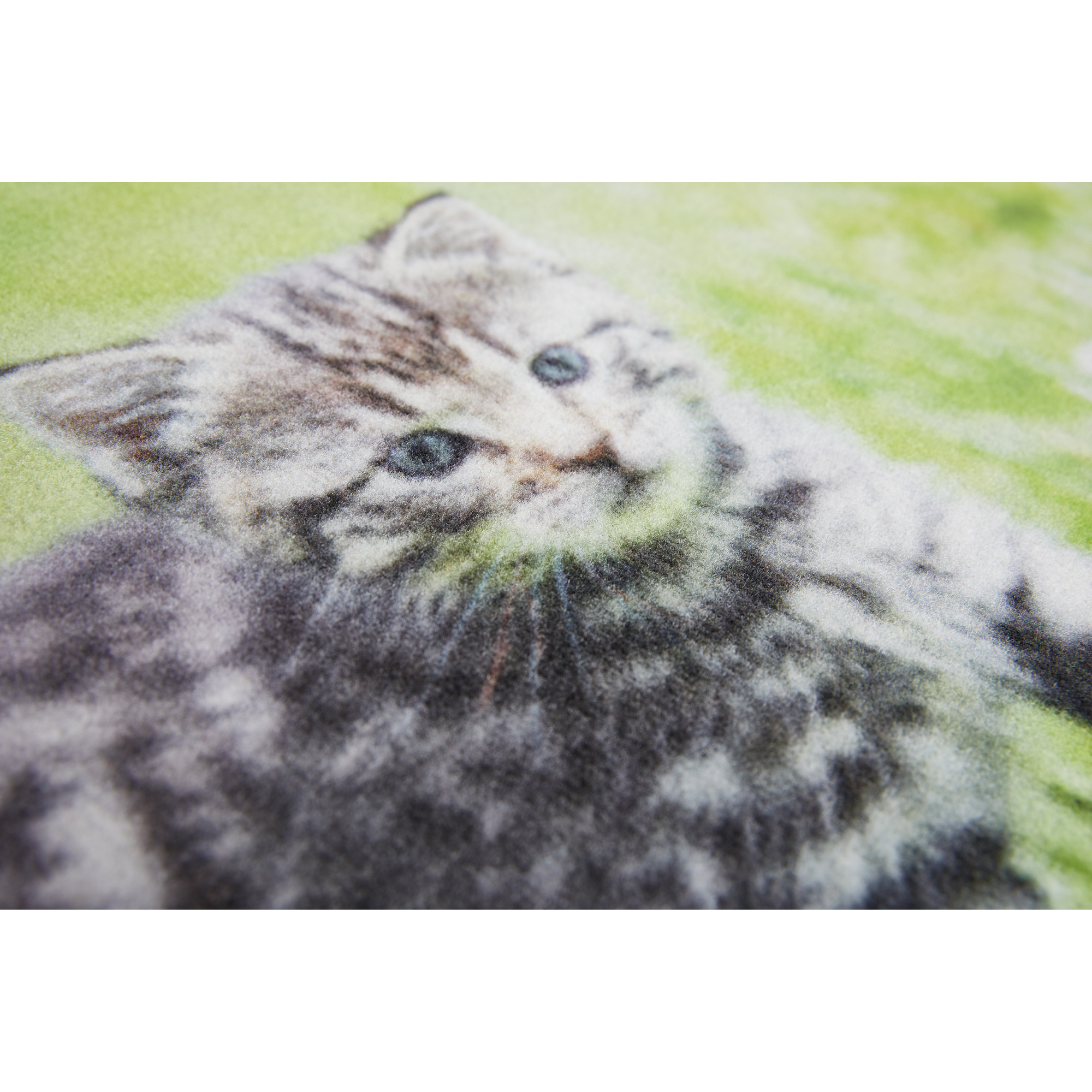 Sauberlaufmatte 'Baby Katze' mehrfarbig 50 x 70 cm