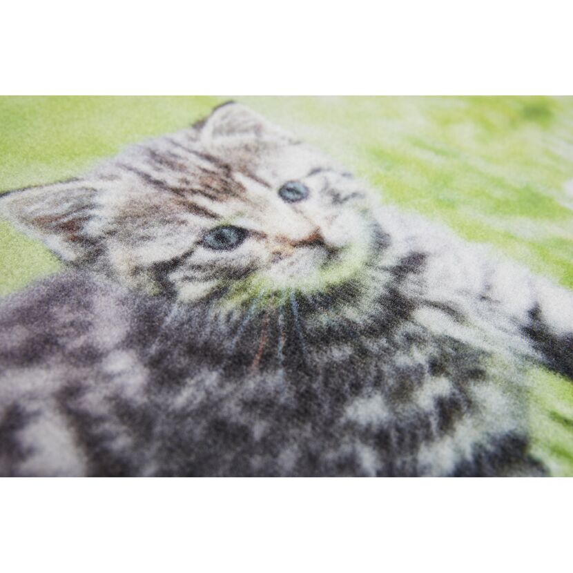 Sauberlaufmatte 'Baby Katze' mehrfarbig 50 x 70 cm