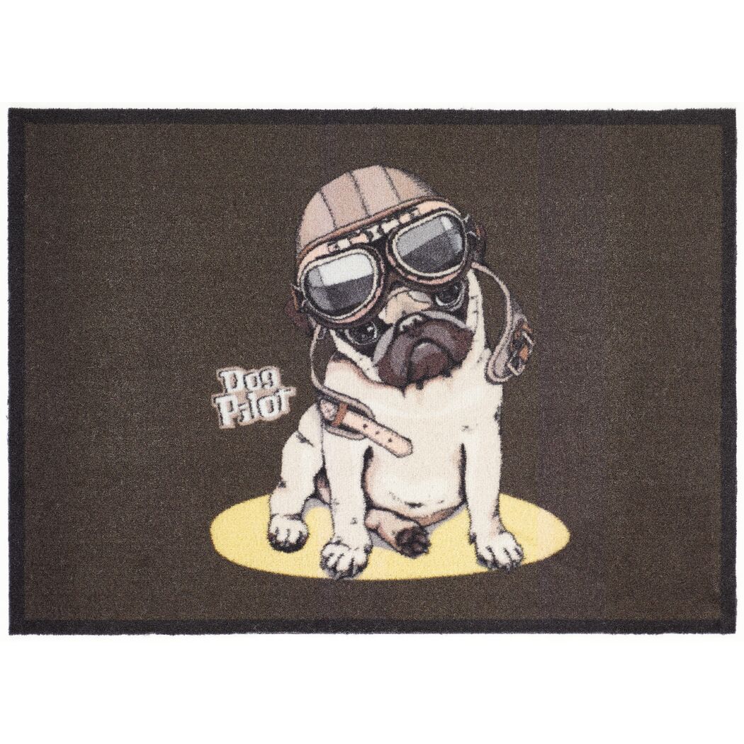 Sauberlaufmatte 'Dog Pilot' mehrfarbig 39 x 58 cm