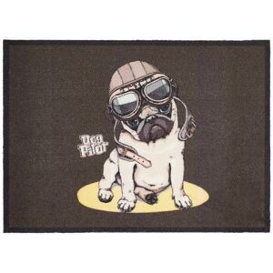 Sauberlaufmatte 'Dog Pilot' mehrfarbig 39 x 58 cm