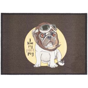Sauberlaufmatte 'Pilot Pug' mehrfarbig 39 x 58 cm
