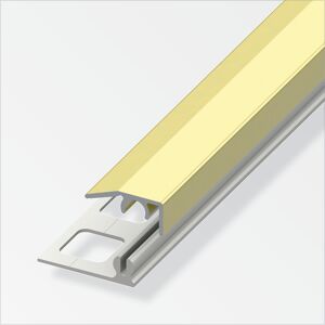 Abschlussprofil 'clipstech®-mini' Aluminium messingfarben 1000 x 19,5 mm