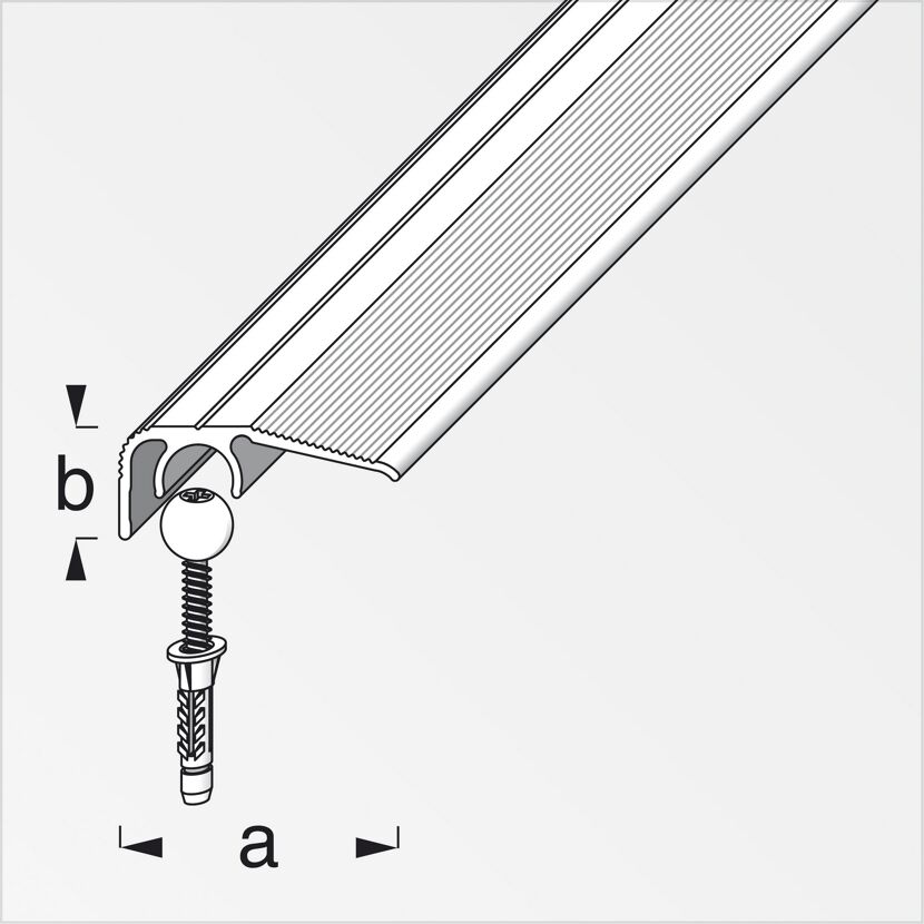 Alu-Abschlussprofil Silber Vario mit Schraube und Dübel