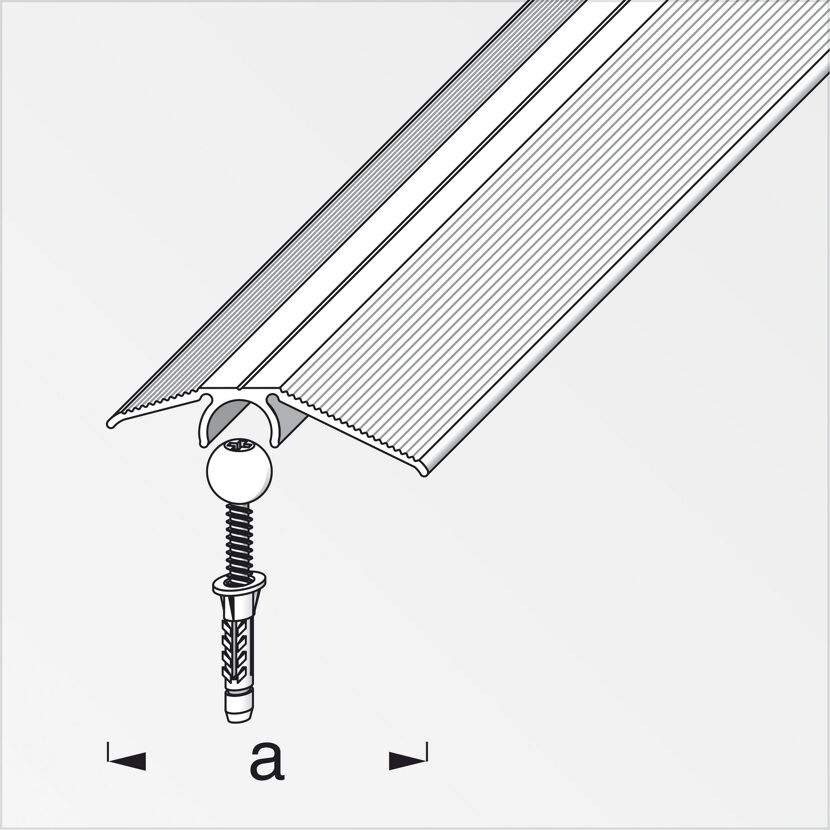 AluChamp Vario Ausgleichsprofil mit Schraube und Dübel