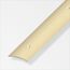 Übergangsprofil aus PVC, Ahorn, 1 m