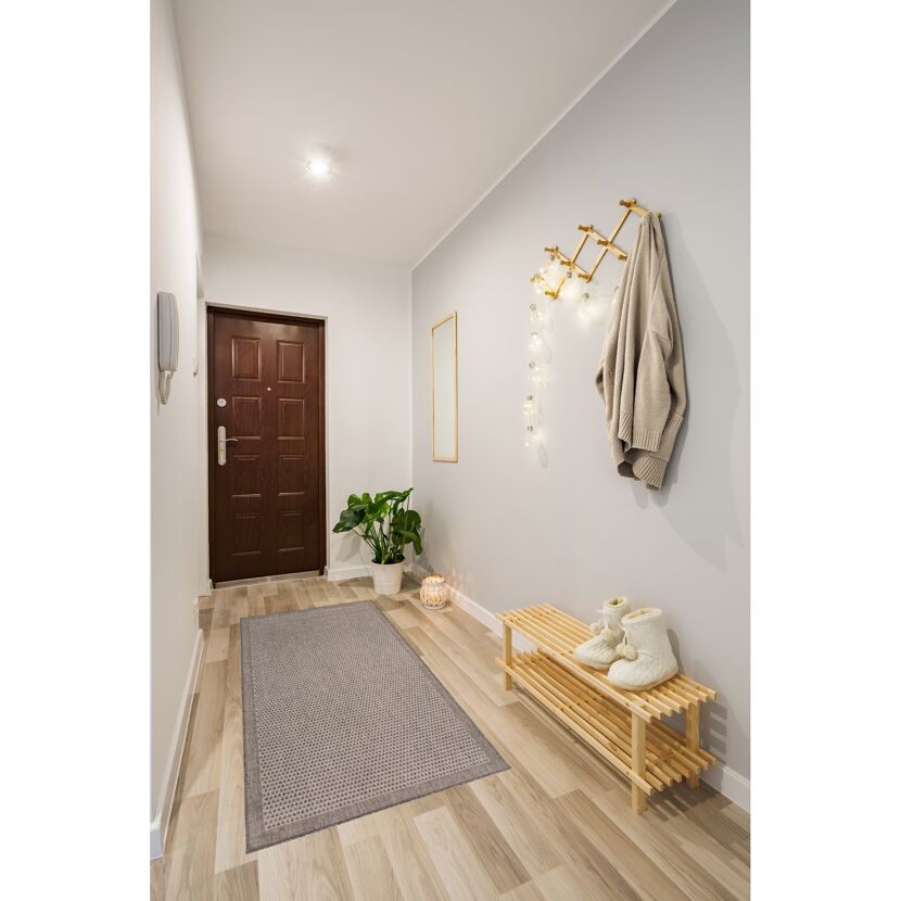 Flur mit brauner Tür, Garderobe, Spiegel, Schuhablage und Teppich