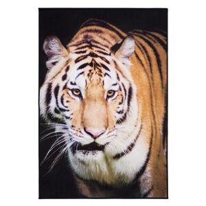 Teppich 'Tiger' schwarz/braun 100 x 150 cm