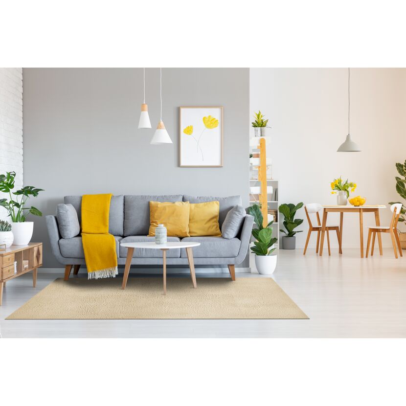 Wohnzimmer mit beigem Teppich San Paolo