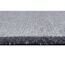 Fussmatte 'BB Protect' grau 55 x 70 cm