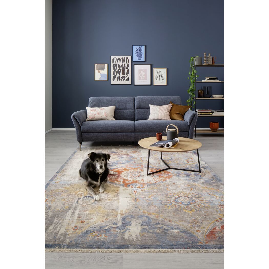 Hund liegt auf Teppich Mystik silber vor Sofa
