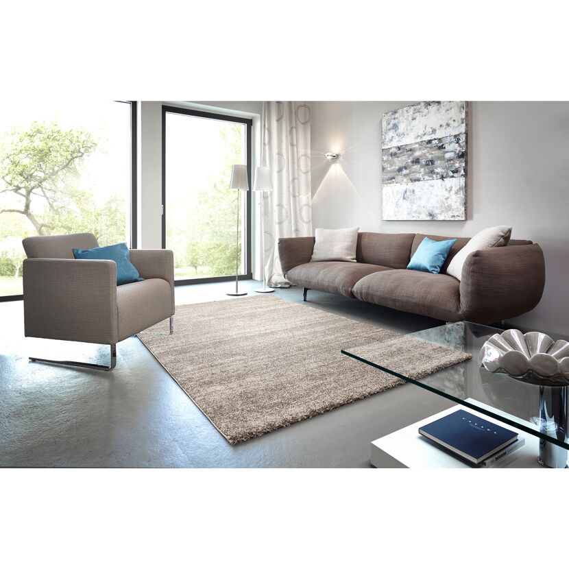 Wohnzimmer mit beigem Teppich, braunem Sofa und Sessel
