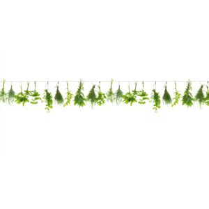 Glasrückwand 'WandArt vitre' 120 x 58,5 cm herbs line