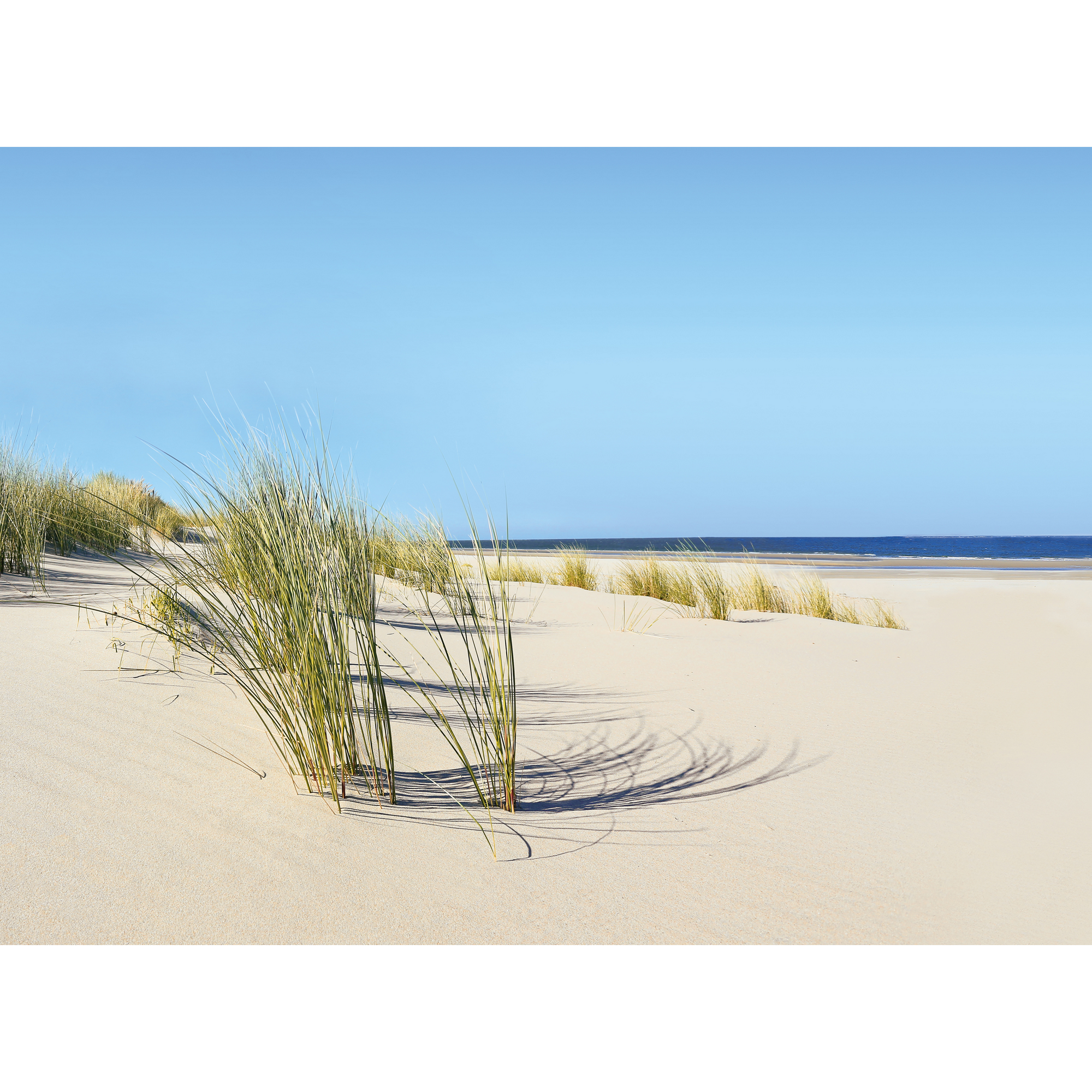 Kompaktschichtstoff 'WandArt easy' 80 x 58,5 cm summer dune + product picture