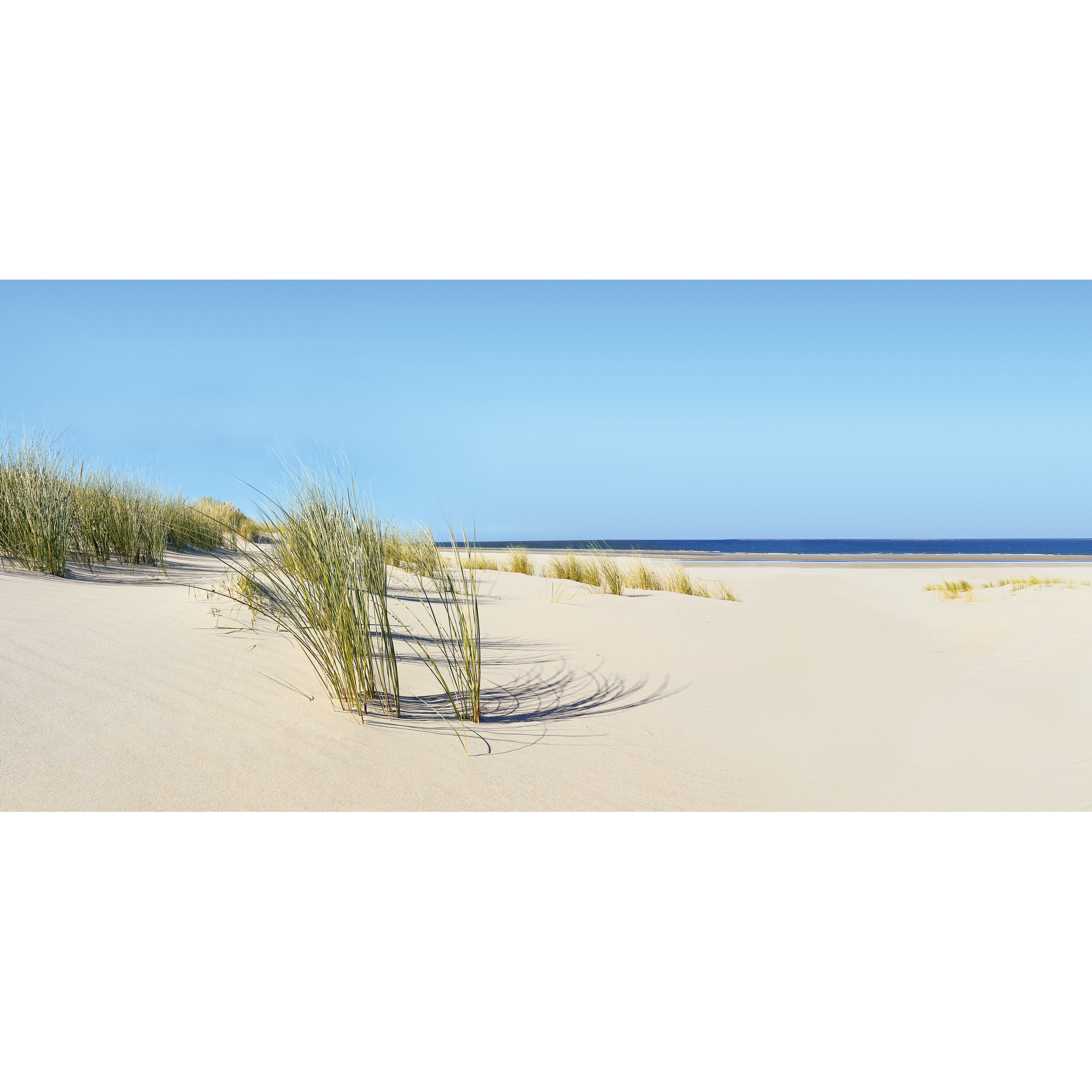 Kompaktschichtstoff 'WandArt easy' 120 x 58,5 cm summer dune + product picture