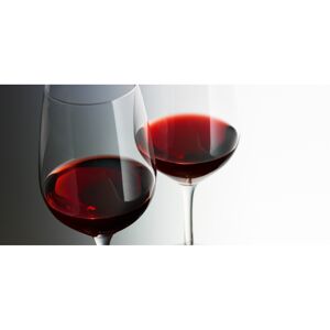 Kompaktschichtstoff 'WandArt easy' 120 x 58,5 cm red wine abstract