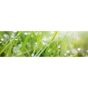 Kompaktschichtstoff 'WandArt easy' 200 x 58,5 cm grass