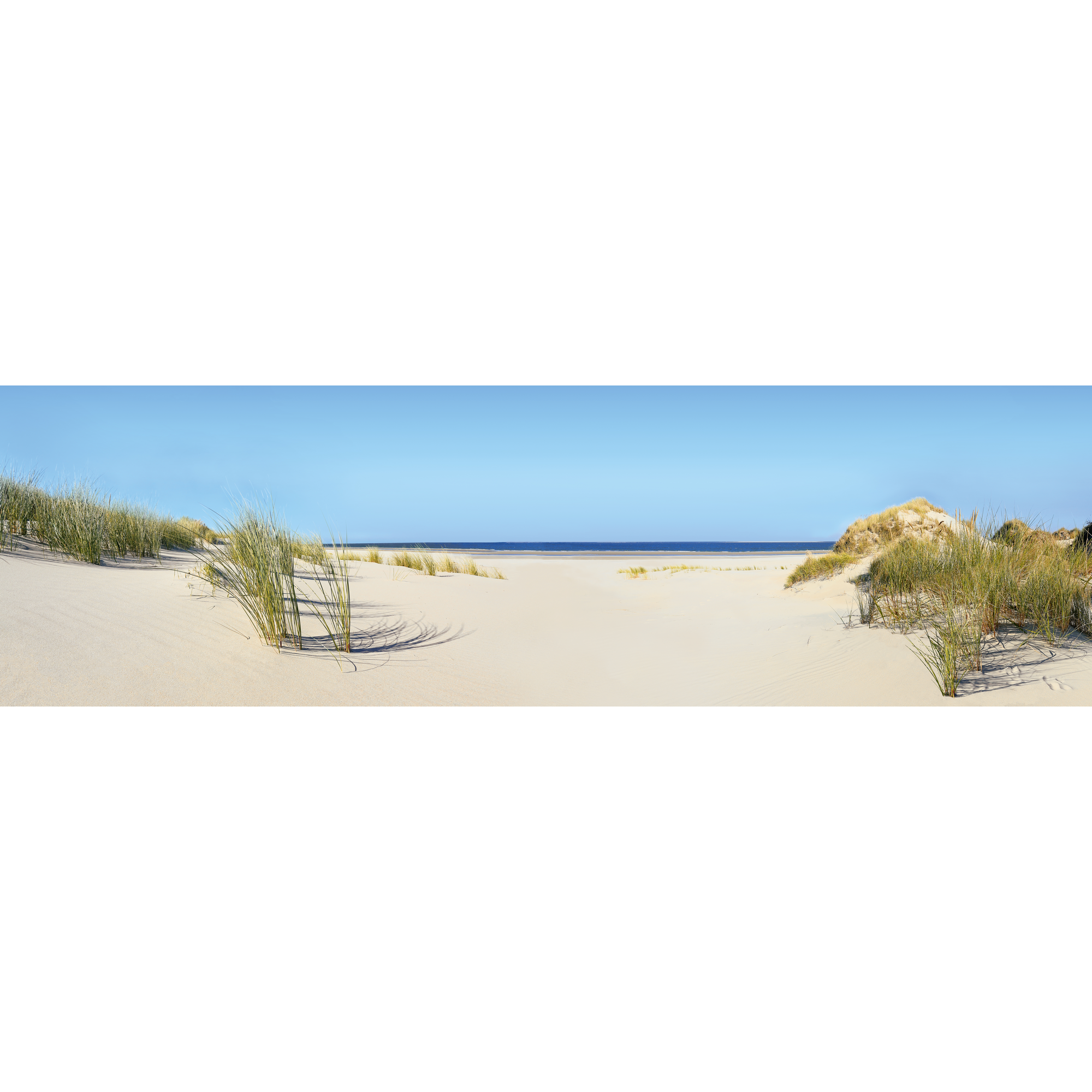Kompaktschichtstoff 'WandArt easy' 200 x 58,5 cm summer dune + product picture