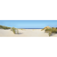 Verkleinertes Bild von Kompaktschichtstoff 'WandArt easy' 200 x 58,5 cm summer dune