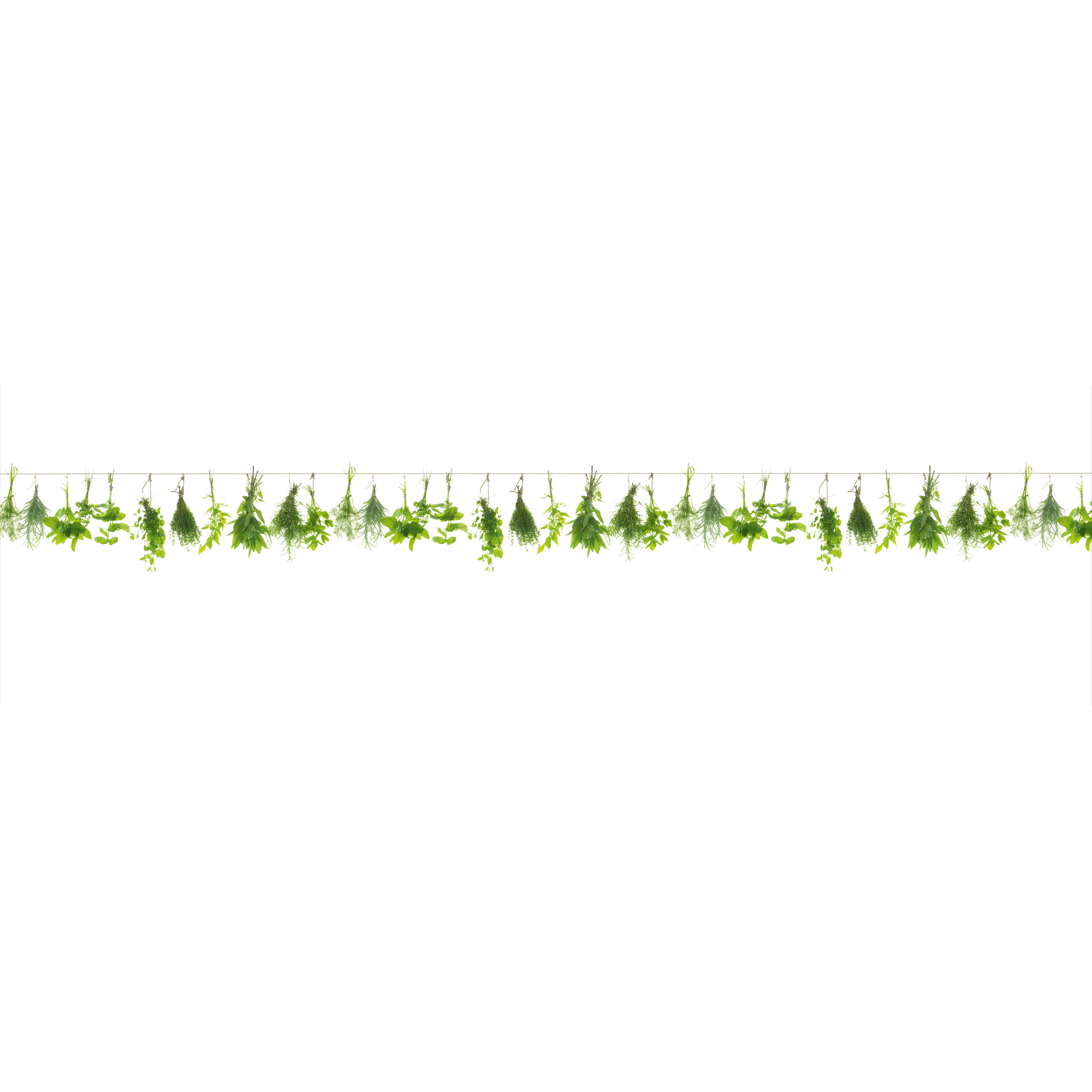 Kompaktschichtstoff 'WandArt easy' 200 x 58,5 cm herbs line + product picture