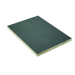 Siebdruckplatte Birke 2500 x 1250 x 12 mm