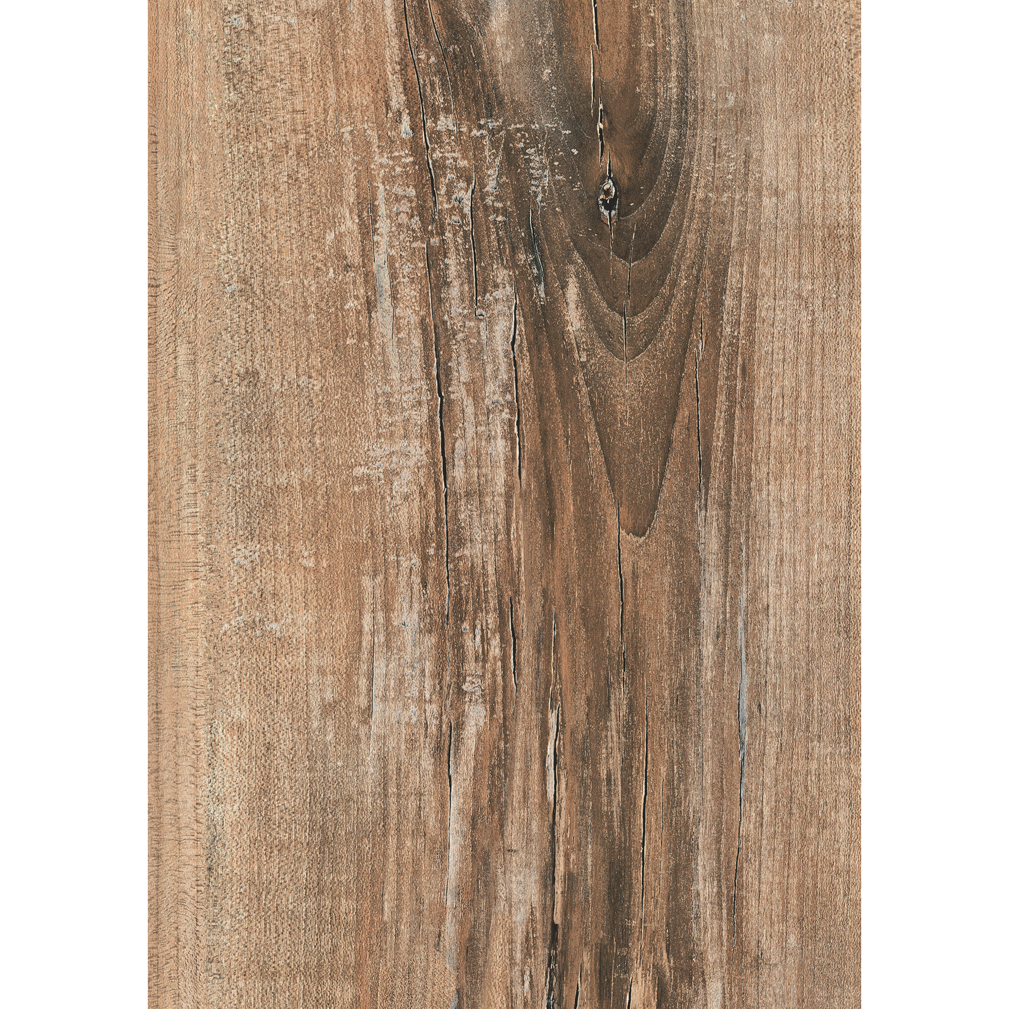 Arbeitsplatte '34232' Arizona Pine braun 2750 x 600 x 38 mm + product picture